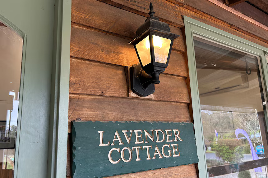 Lavender Tea Shop